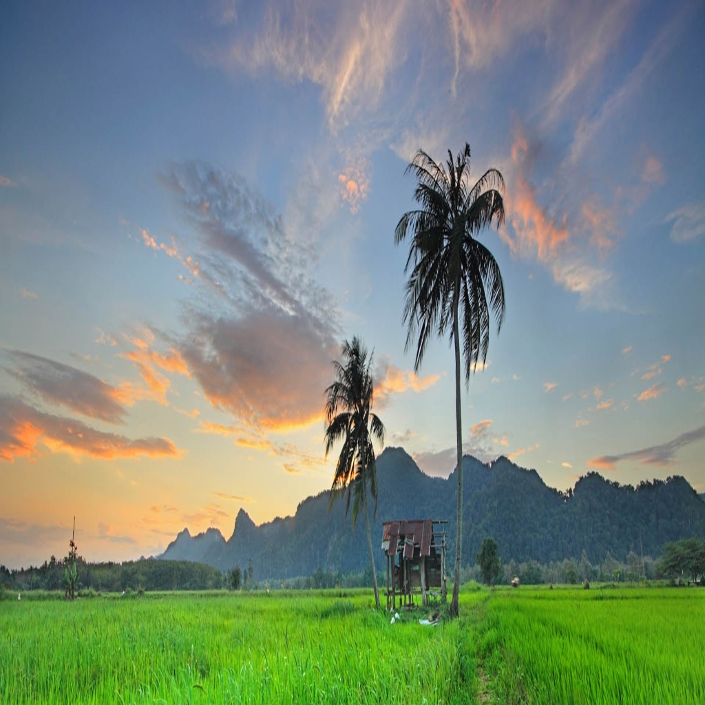 Perlis