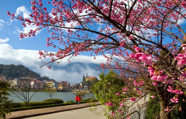 Dalat
