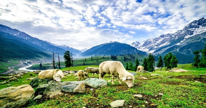 Kashmir India