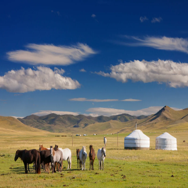 Mongolia