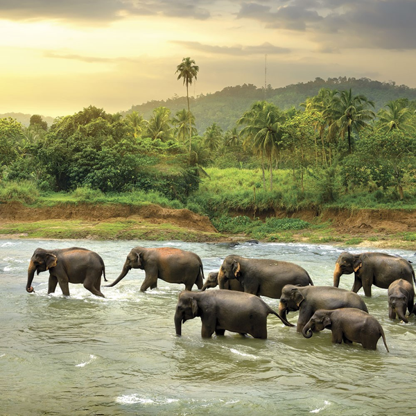 Sri Lanka